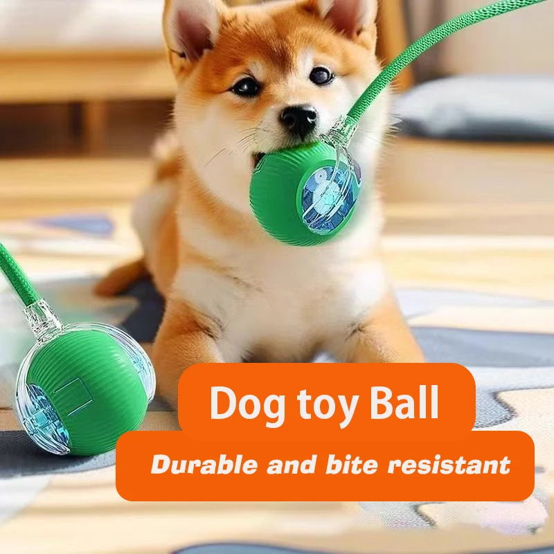 Interactive Automatic Pet Toy, Smart Rolling with String