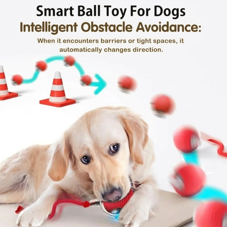 Interactive Automatic Pet Toy, Smart Rolling with String