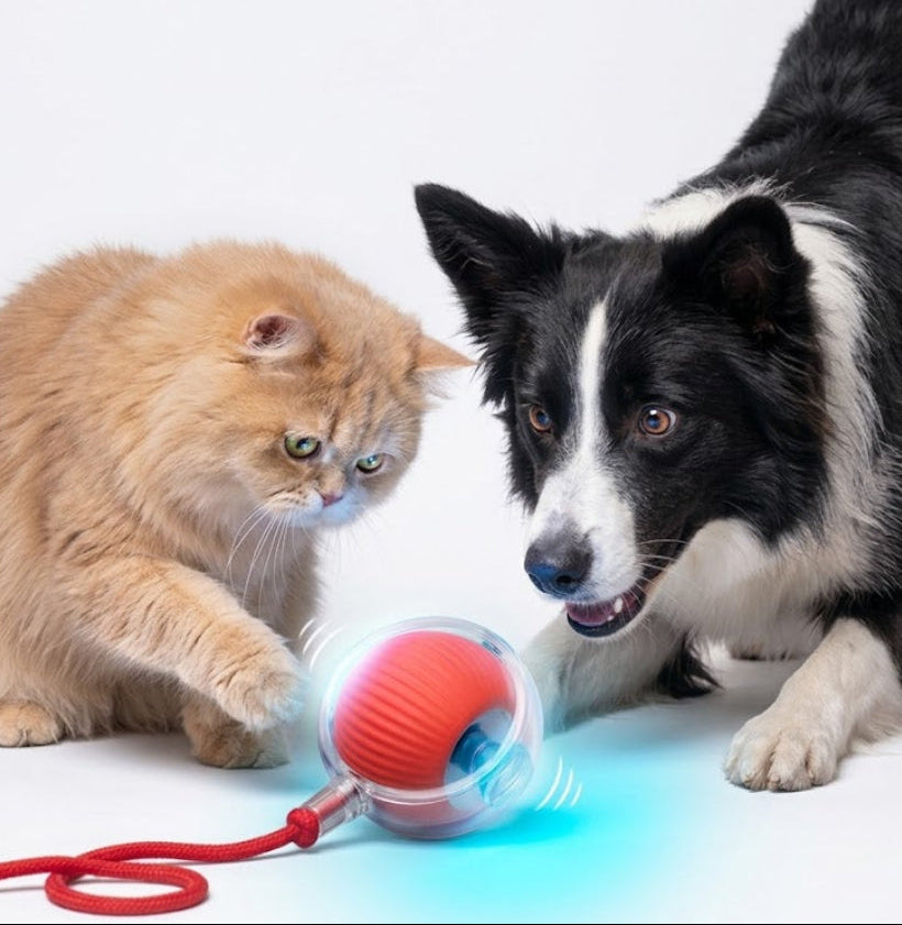 Interactive Automatic Pet Toy, Smart Rolling with String